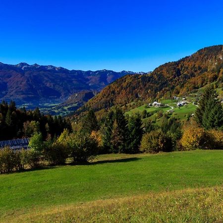 Holiday House Pokrovec - 보히니 외부 사진