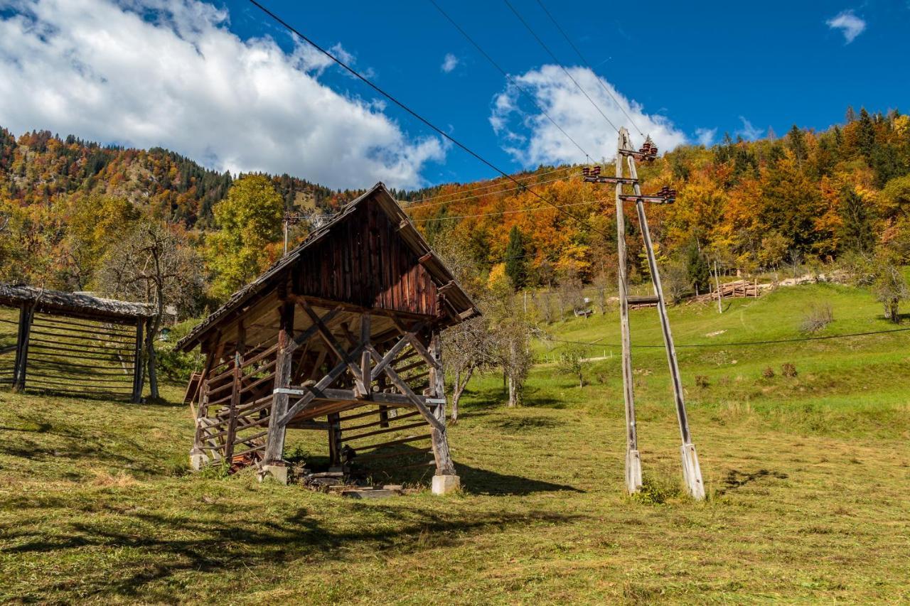 Holiday House Pokrovec - 보히니 외부 사진